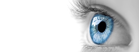 Beyaz bir arka plan önünde uzun kirpikli mavi bir gözün yakın çekimi.